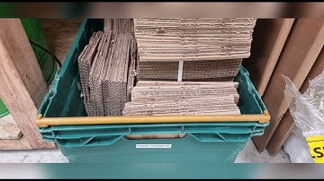 3s and Lean Improvements 29th June