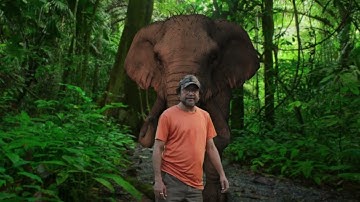 VFX COMPOSITING | ELEMENT 3D | AFTER EFFECTS | 3D MODEL | PREMIER PRO |  VIDEO EDITING