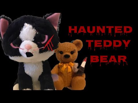 beanie boos teddy bear