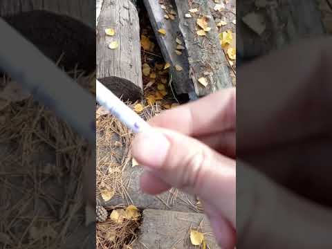 Обзор на сигареты Marlboro Vista Forest Mist(Bond Street Premium 2.0)