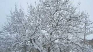 Köyümün Yağmurları