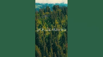 تلاوات قصيرة سورة الاحزاب | عمار الحازمي