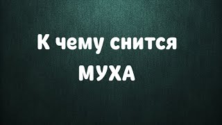 К чему снится муха, много мух