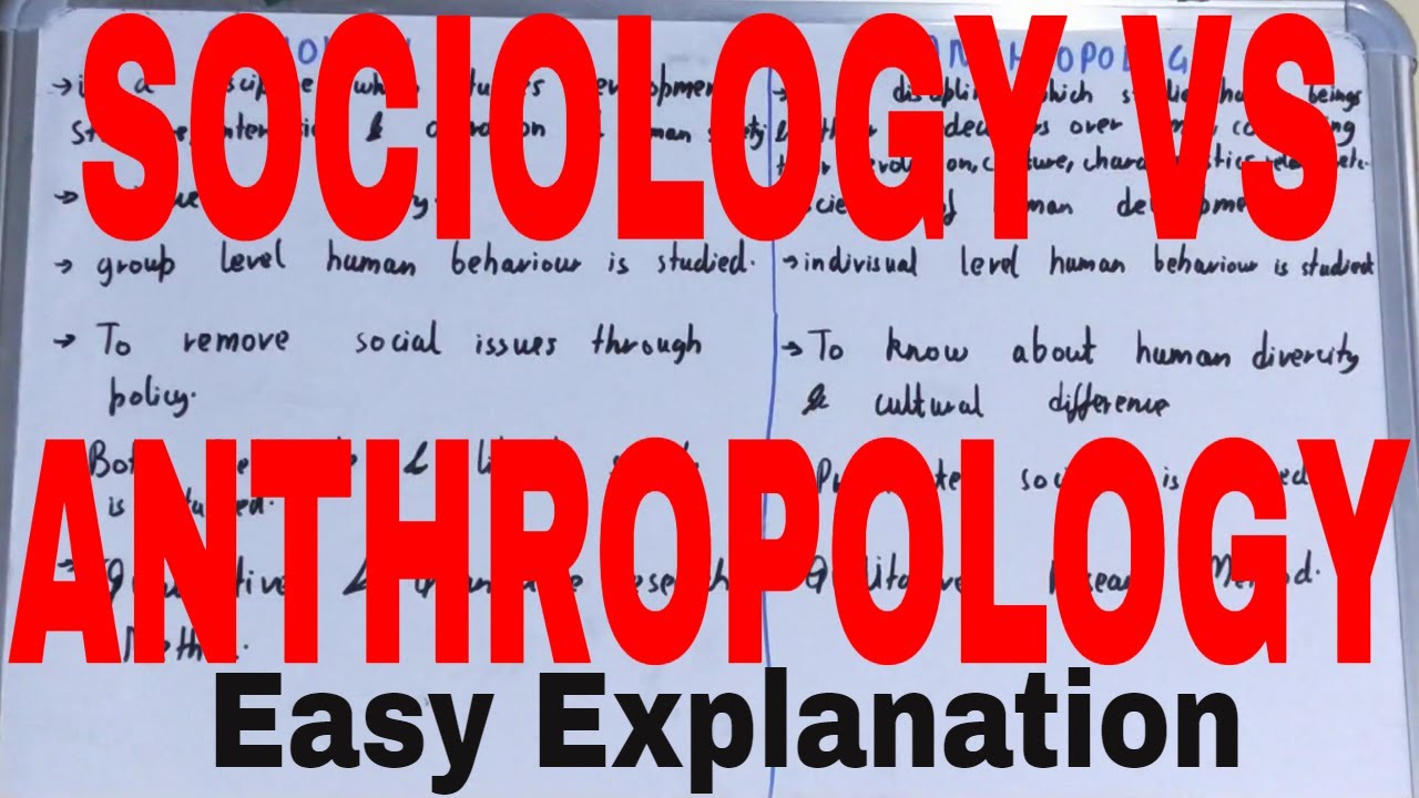 social anthropology vs sociology