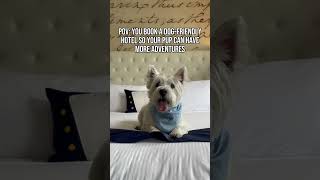 This is WHY I stay at dog-friendly hotels like the Kimpton! | #dogfriendly #hotel #westie