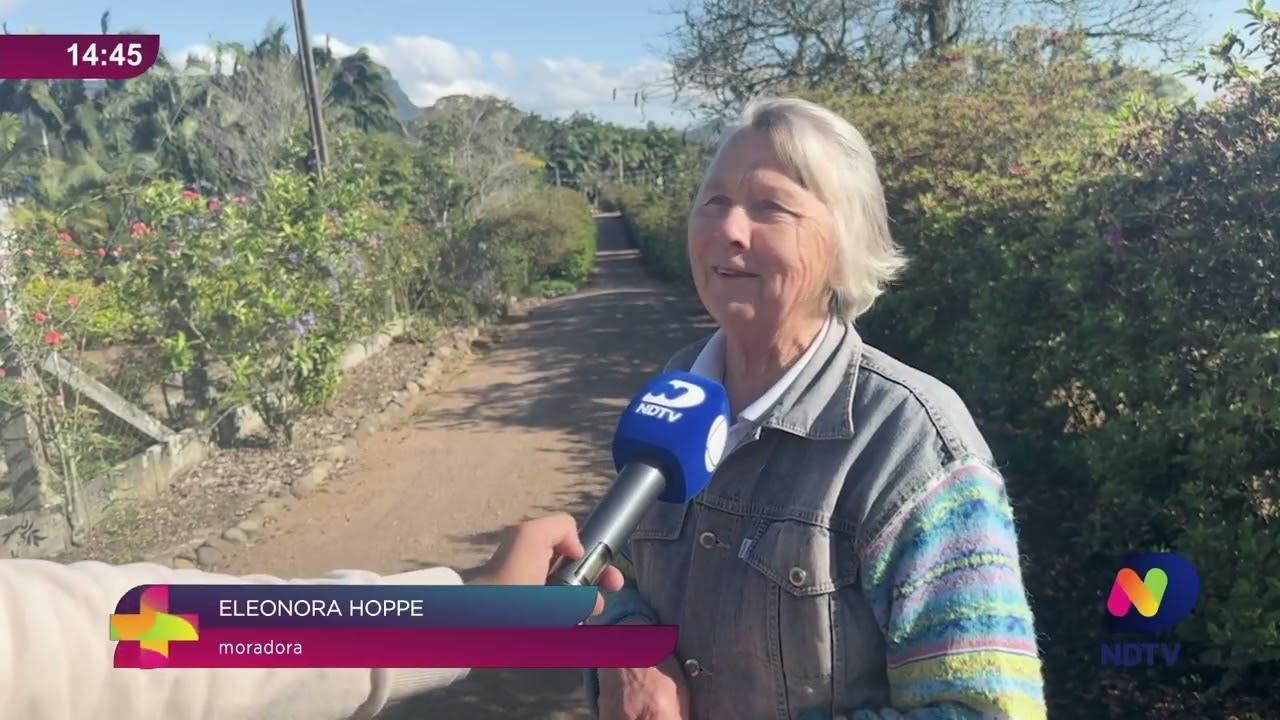 Casa no Alto Vale chama a atenção com corredor de azaleias