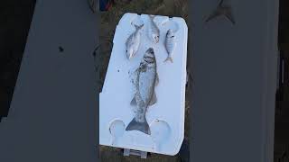 Ψαρεμα με την τεχνικη surf casting!!