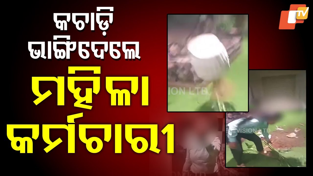 Hotel Chaos in Bhubaneswar: Female Employee Smashes Property with Iron Rod