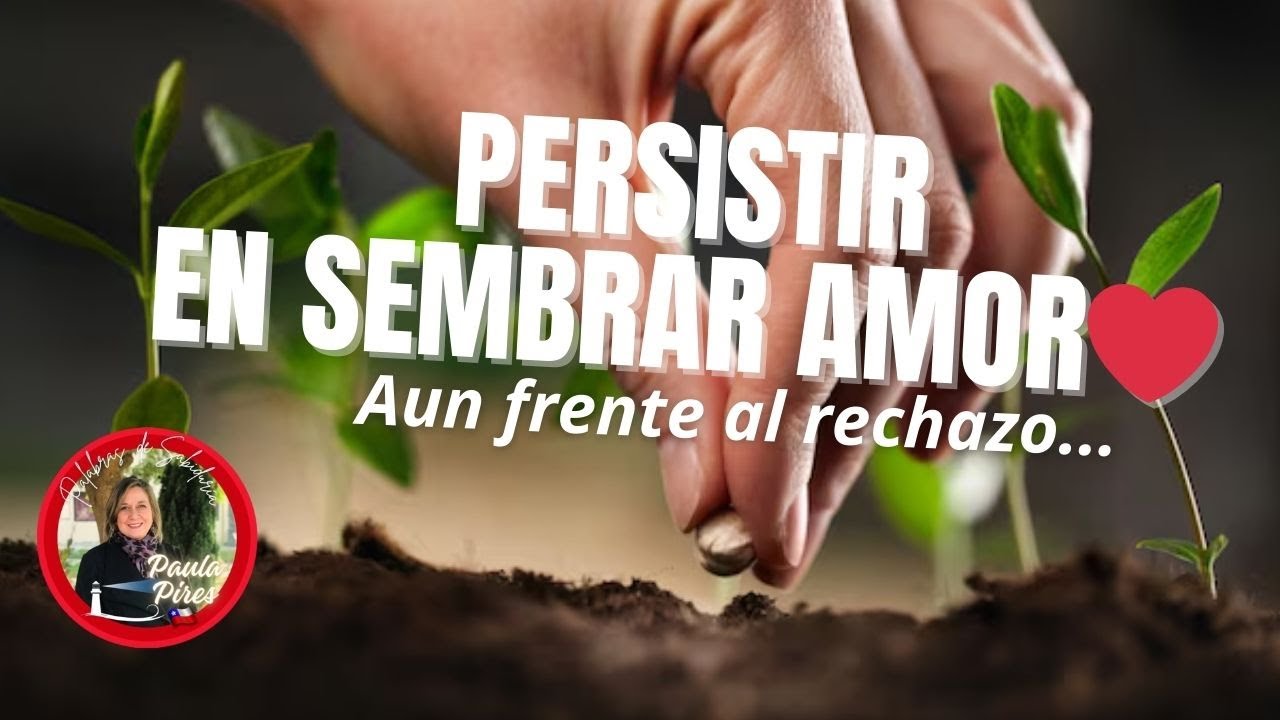 Persistir en sembrar amor🥀, aun frente al rechazo - Paula Pires