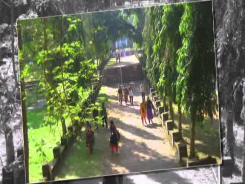 Kottayam govt college music album