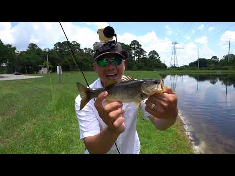 Slaying Ditch Pickles Before ICast 2019, Orlando FL