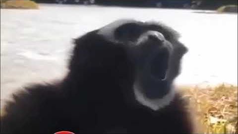 Thứ bảy rồi  anh em ơi có ai nhậu không