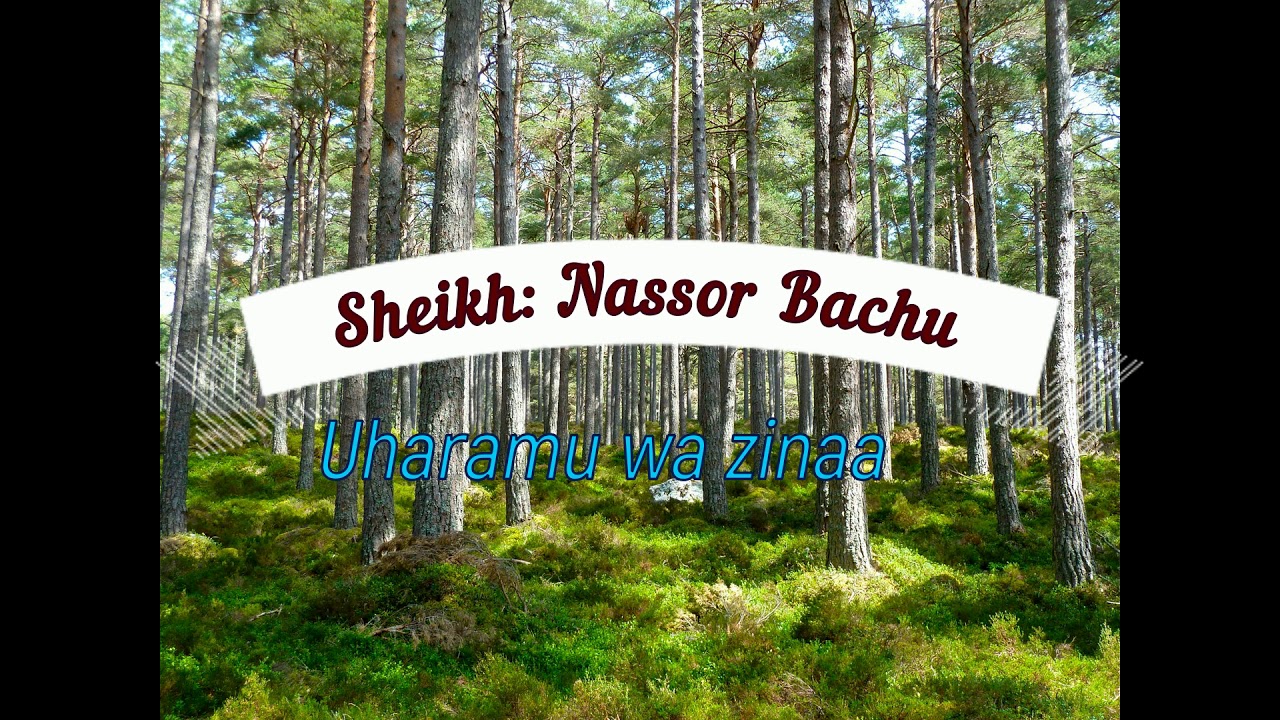 Download Sheikh Nassor Bachu: Punyeto haramu/zinaa haramu/liwati haramu