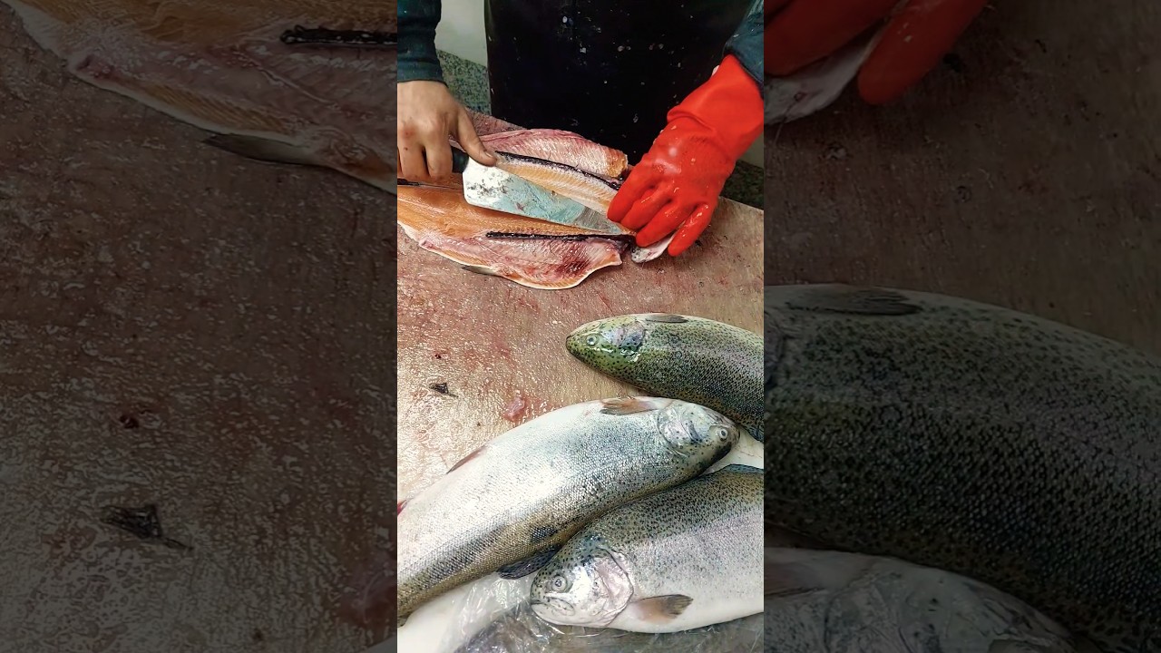 QUICK TROUT FISH FILLET