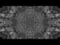 Capture de la vidéo Journey Of The Nightvessel - Album