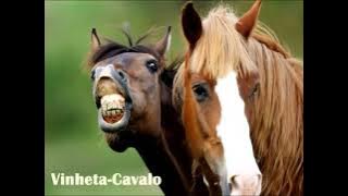 #efeito para videos Vinheta Cavalo