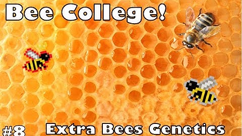 Bee College - Extra Bees Genetics (#8)