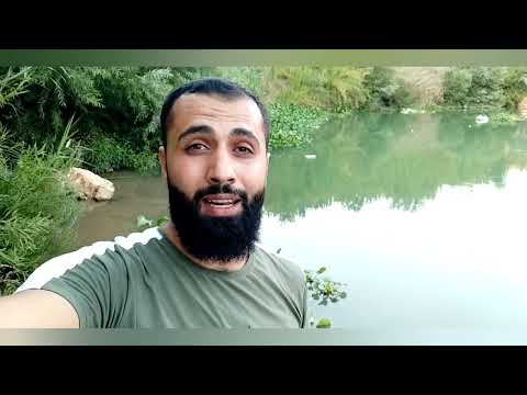 نبات زهرة النيل أخطر النباتات المائية في نهر العاصي