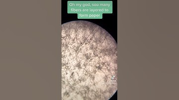How paper looks under Microscope #microscopevideos #paper #papercraft #technology #tech #science