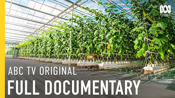 Vertical Farm That Spends $65 Per Day On Electricity