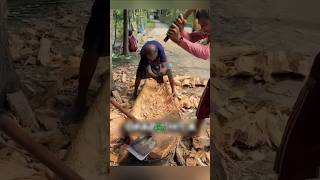 El Increíble Uso del Árbol de Palma en Camboya#shorts