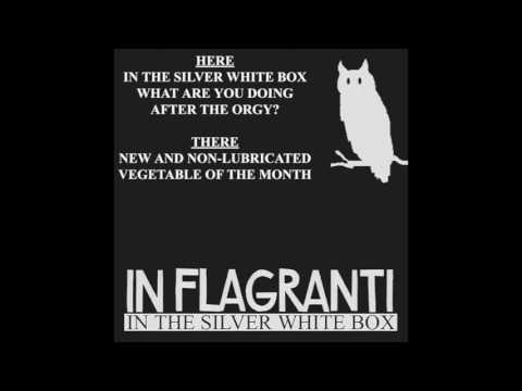 In Flagranti - What Are You Doing After The Orgy (Gomma, 2006)