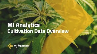 MJ Analytics Cultivation Data Overview