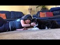 Youtube Thumbnail title
