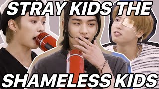 the s in stray kids stands for shameless