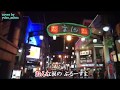 流川ぶるーす  /  谷  龍介    新曲 2017年10月4日  cover by yoko_mitsu