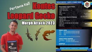 Pertama Kali ikut Kontes Leopard Gecko  Morph Attack 2023 Tunjungan Plaza Surabaya