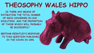 Theosophy Wales Hippo:- The Total Number of Egos Concerned in our Evolution by Bertram Keightley.