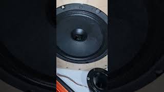 DL Audio Piranha 10 #automobile #subwoofer #bass #amplifier #speaker #топ #pioneer  #music #sound