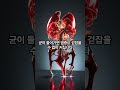 콘쥬란 샤워 가능 #주사염증 #무릎주사후염증 #주사부작용 #관절주사 #연골주사