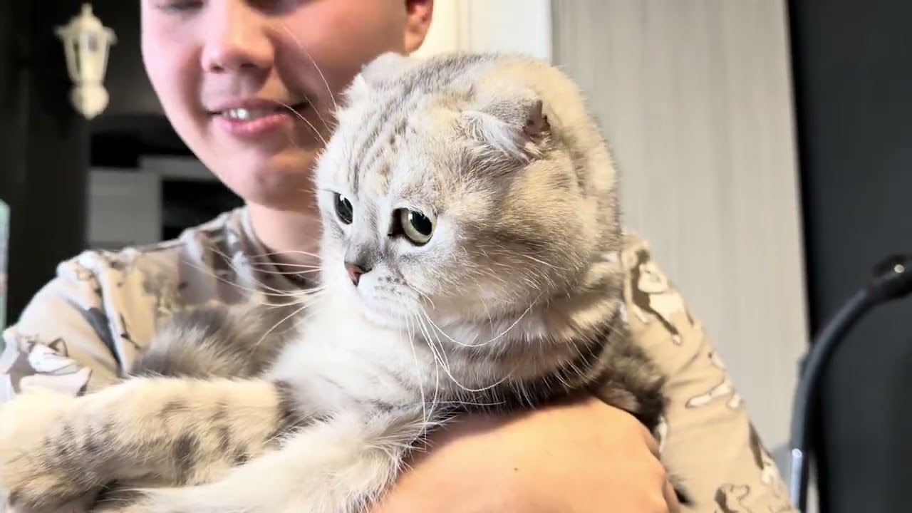 Книга разочаровала, мед разочаровал, и вообще…я устала 🥴🥴🥴