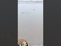 Hey Ganga Maiya #chhathpuja2025 #shortvideo #status #kamlanadi