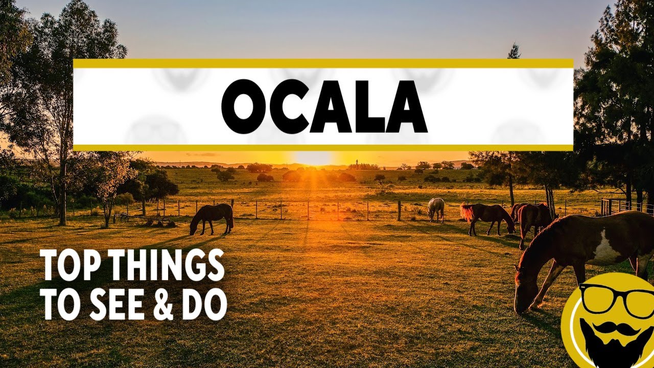 Top Things to See & Do in Ocala, Florida