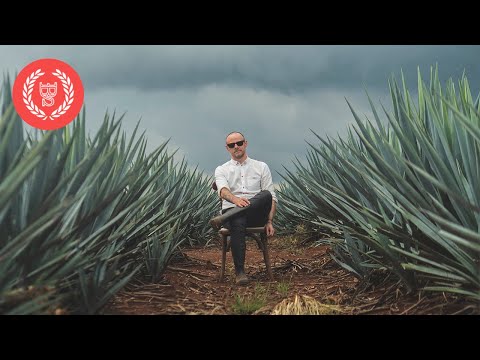 Vidéo: 9 Des Meilleurs Bars Mezcal De Mexico - Réseau Matador