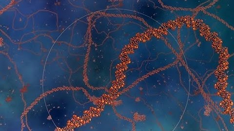 Cosmic Voyage  the powers of 10