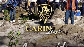 Te vi Con El Carin León Epicenter Bass