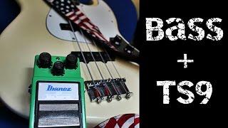 Bass + Tube Screamer TS9 overdrive pedal - sound demo & review
