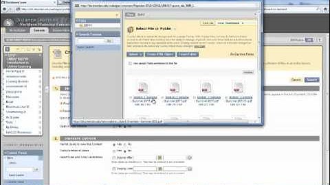 Creating a Web Folder in Blackboard 9.1