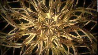 Gold-ExoSklet - ✅ Free download VJ Loops 👁‍🗨👁‍🗨