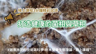 【線上課程3分鐘試讀】 打造健康的菌相與草相 #健康施肥的技術與科學-樹木營養生態理論-“線上課程”