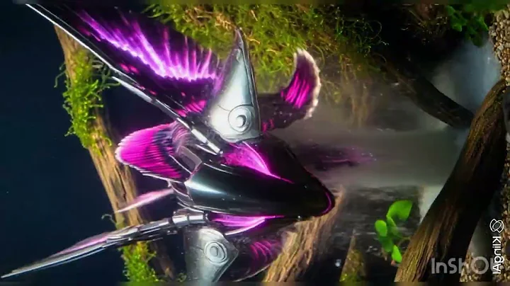 4k Hd videos #trending #viralvideos 