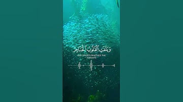 إِذْ جَاءُوكُم مِّن فَوْقِكُمْ - سورة الأحزاب - آية 10