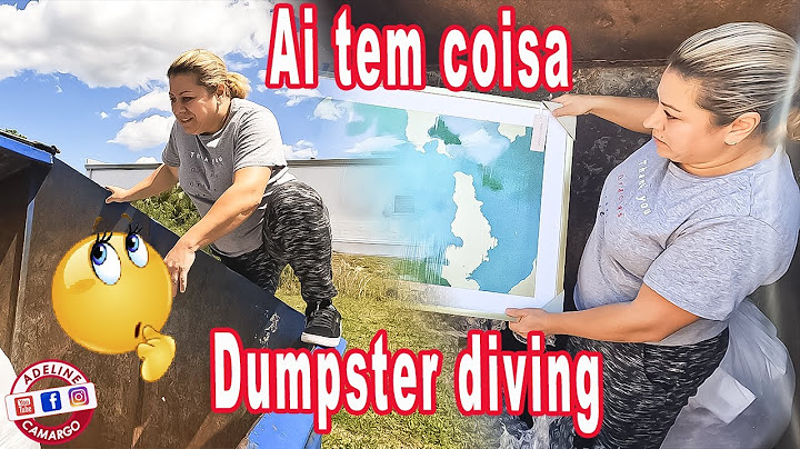 Dumpster diving - muita coisa boa nos dumpster das lojas USA 🇺🇸 | Adeline Camargo