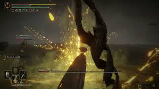 Elden Ring NG+1 | Radagon of the Golden Order \& Elden Beast w\/2 cooperators #eldenring #eldenbeast