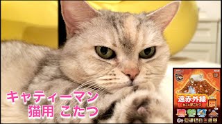 キャティーマン　猫の夢こたつ キャティーマン 猫の夢こたつ - YouTube