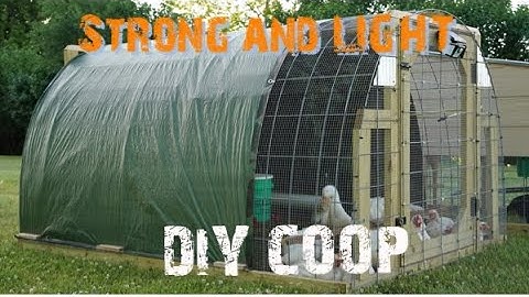SIMPLE and STURDY DIY Chicken Hoop House BUILD